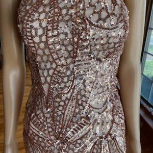 *Showpo Pink Rose Sequin Strapless Bodycon Formal Gown Pageant Prom Dress Size 6